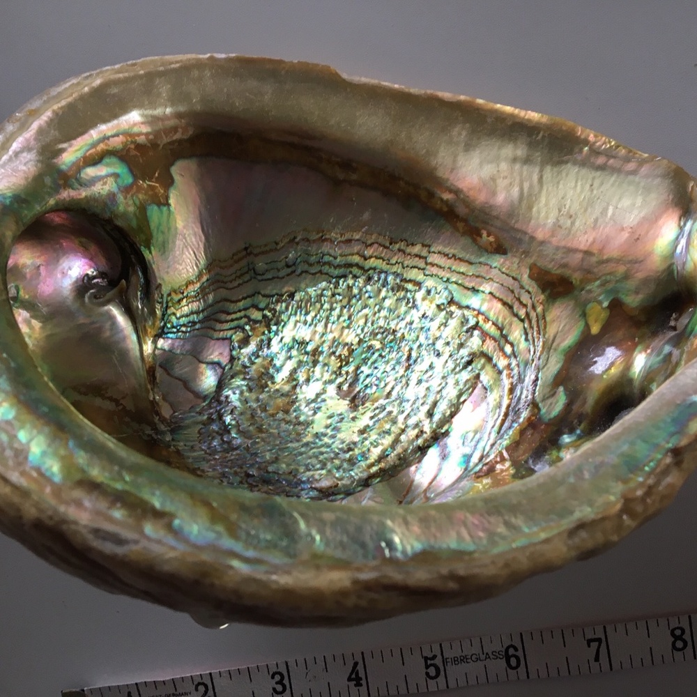 Vintage Abalone smudging Bowl. Jewelry Trinket Bowl. Natural shell